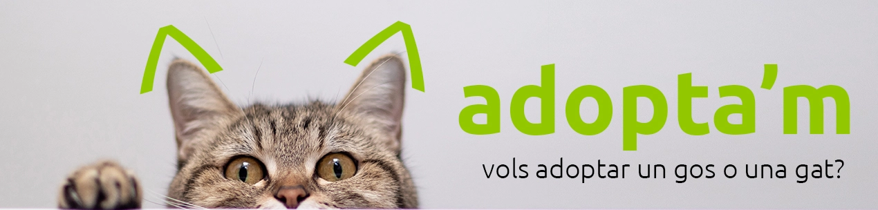 adoptam_gat