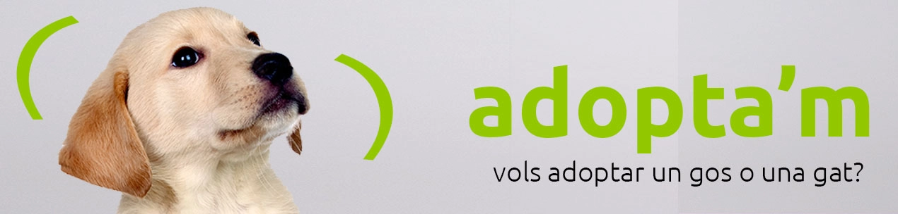 adoptam_gos