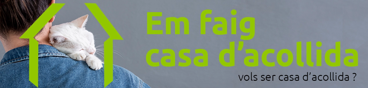 faig casa