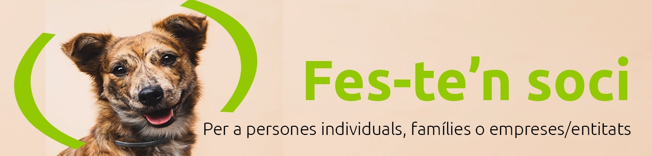 faig soci o voluntari